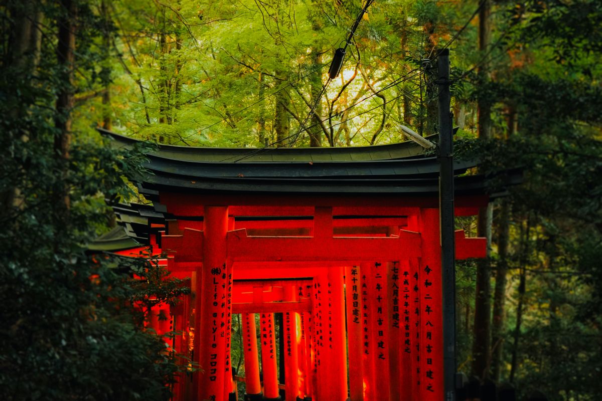 Japan & Indonesia