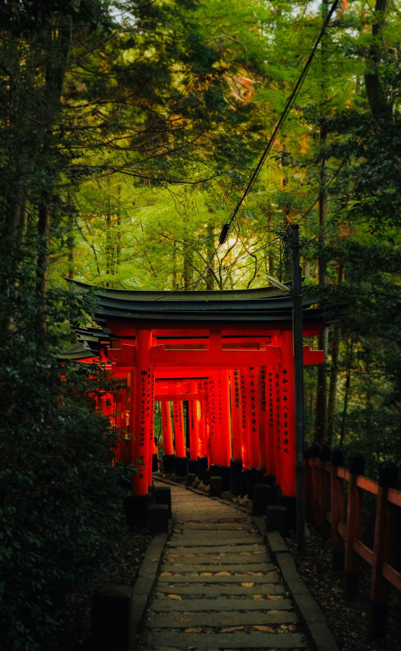 Japan & Indonesia